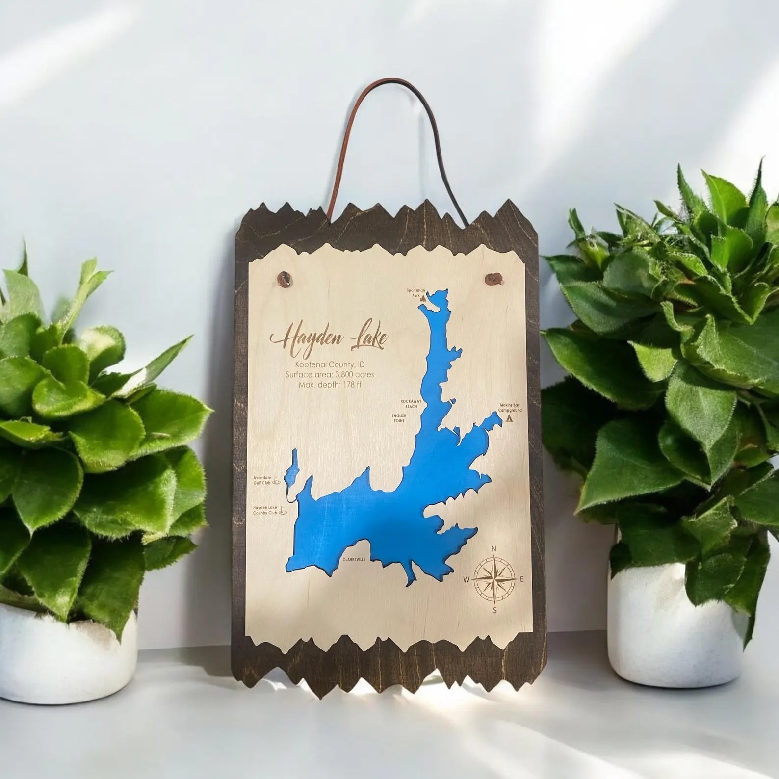 Hayden Lake Wall Art